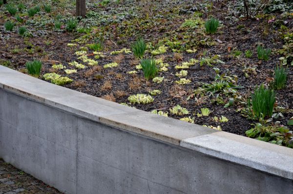 Concrete Wall Construction in Battle Ground