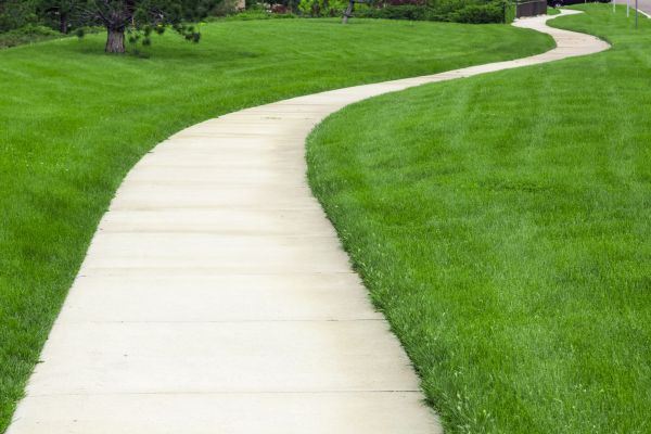 Pathway Replacement in Battle Ground