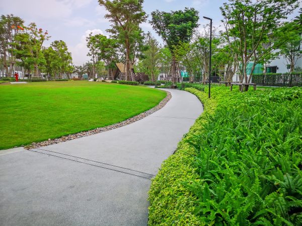 Cement Walkway Service in Battle Ground