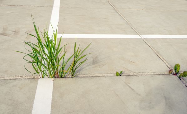Concrete Parking Installation in Battle Ground