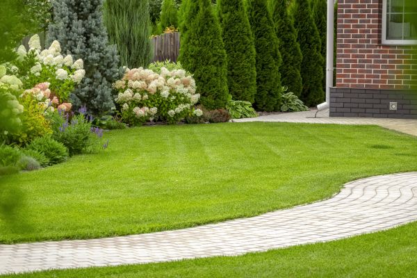 Landscape Walkway Installation in Battle Ground